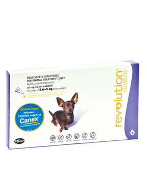 Revolution For Cats Dogs Huge Savings On At Joes Pet Meds