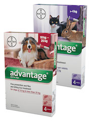 Advantage Flea Control