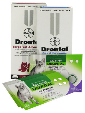 Drontal for Cats
