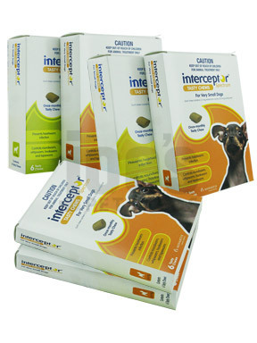 Interceptor Spectrum Chews